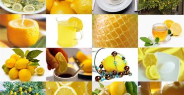 Крепкое здоровье домашнего лимона